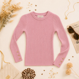 FRHS2762 trui  ROZE  ( 6pcs)