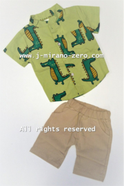 ZMCNB2014 set GROEN  (4pcs)