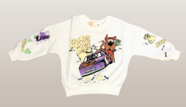 FRHS3190 sweater ( 6pcs)