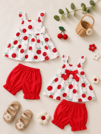 ZMCN2201 set  ROOD (5pcs)