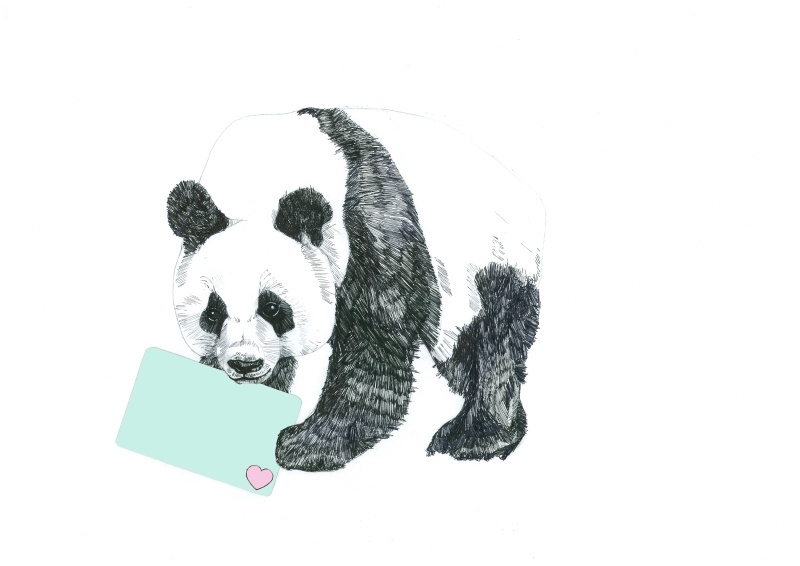 Panda met kaart a6