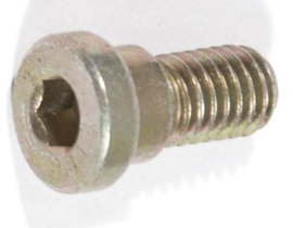 Fillister-head screw brakedisk M6x12 (Replated)