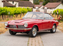 Einlegematten satz Coupe, Super Velours, mehrere Farben (Repro, Neu)