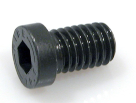 Fillister-head screw brakedisk M8x12 (Replated)