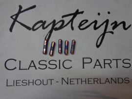 Fuse 25A (5 Pieces, New)