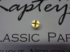 Vent screw brass (New)