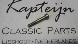 Fillister head screw M10x60mm (Replated) 