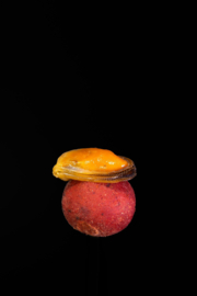 SUBGRUBS - MOSSEL - Hookbait