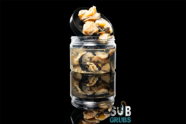 SUBGRUBS - SNAILS - Hookbait