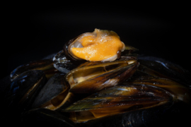 SUBGRUBS - MOSSEL - Hookbait