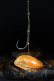 SUBGRUBS - MOSSEL - Hookbait