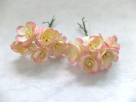 Cherry blossom flowers - Champagne Pink 2 Tone