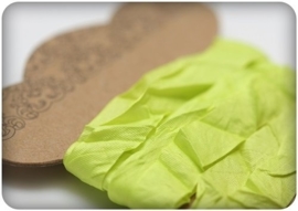 ScrapBerry's Shabby Ribbon Lime 10 mm 1 m (SCB510116)