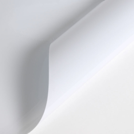 Vinyl - Whiteboard - DWP001B wit