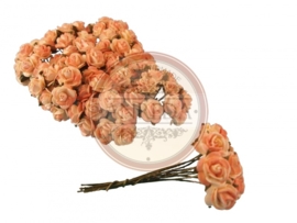 Mini Rose - Cream Peach