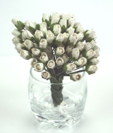 Tiny Rose Buds - White