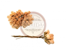 Mini Semi Open Rose Buds - Cream