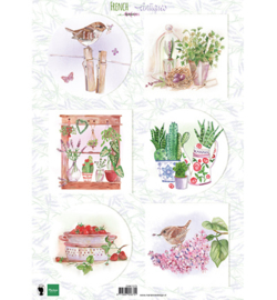 Marianne D Knipvel EWK1273 - French antiques herbs