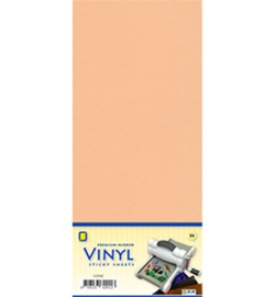 Vinyl sheets - 3.0556 - Mirror Vinyl, Skin