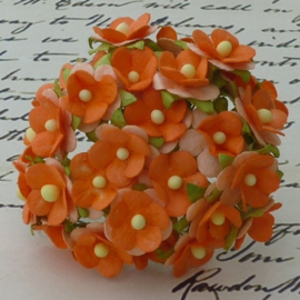 Sweetheart Blossom Flowers - Orange