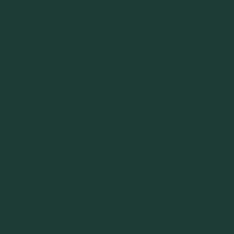Flexfolie Premium Plus - Dark Green - 410
