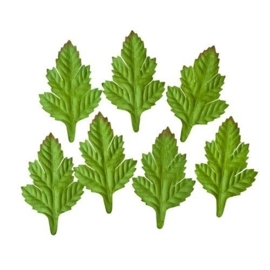 ScrapBerry's Set Of Leaves 7 pcs Shrub (SCB300601)