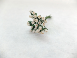 Mini Semi Open Rose Buds - White