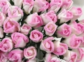 Tiny Rose Buds - Pink Variegated