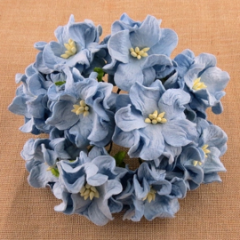 Curly Flowers Double - Baby Blue