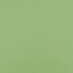 Flexfolie Premium Plus - Pastel Green - 420