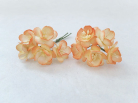 Cherry blossom flowers -  Orange Tangerine