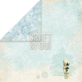 Craft & You - Frozen Paper - 5 (12"x 12")