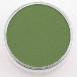 PanPastel Chrom.Oxide Green Sh