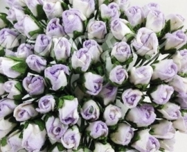 Tiny Rose Buds - Purple Variegated