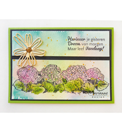 Marianne D TC0871 - Tiny's Border – Hydrangea