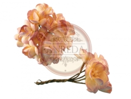 Cherry blossom flowers -  Classic Lilac Cream Variegated