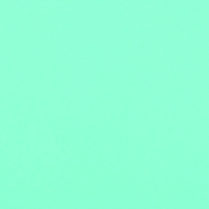 Flock - CCF419 - mint