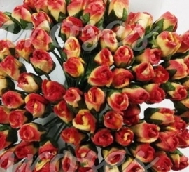 Tiny Rose Buds - Red Yellow Variegated