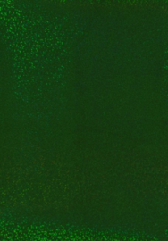 Flexfolie Cad-cut Effect - CCE908 - sparkle groen
