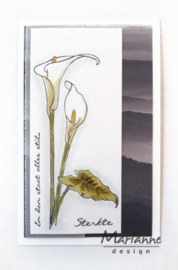 Marianne D Stempel TC0864 - Tiny's border: callas