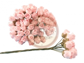 Middle Semi Open Rose Buds - Soft Pink