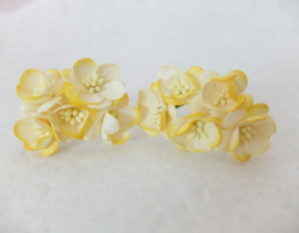 Cherry blossom flowers - Yellow 2 Tone