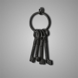 Sleutelbos: 4 sleutels aan ring