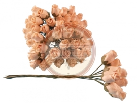 Middle Semi Open Rose Buds - Creme