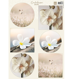 Marianne Design - Knipvel - VK9624 - Condoleance - Orchid