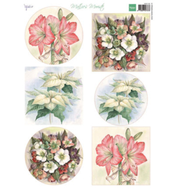 Marianne D Knipvel MB0168 - Mattie's Mooiste: Christmas flowers
