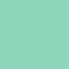 Flexfolie Premium Plus - Mint - 419