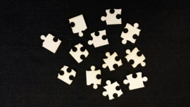 Puzzel stukjes 2 á 2,5 cm 1,5mm dik chipboard 12 stuks