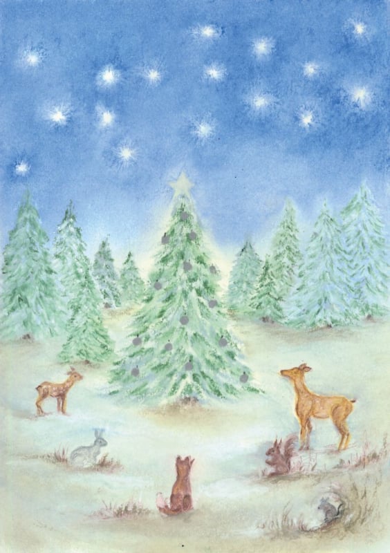 Winterbos, Baukje Exler