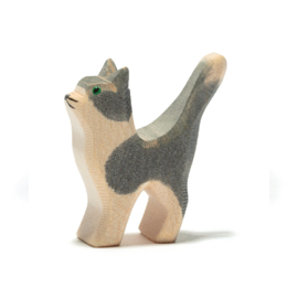Ostheimer Kitten kop hoog